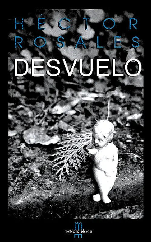 Desvuelo
