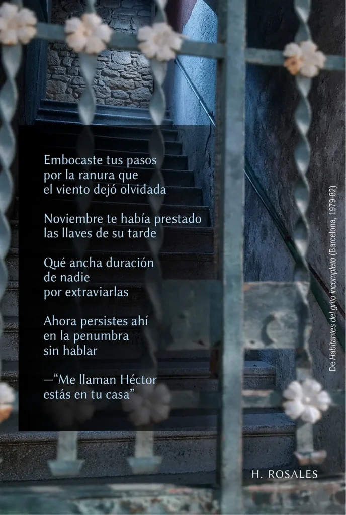 Embocaste tus pasos